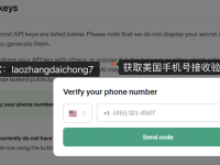 解决ChatGPT电话验证常见问题——注册电话号码、接收验证码及验证失败处理