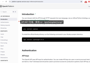api key代码