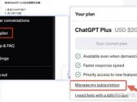 如何获取调用 ChatGPT Plus 账号的共享方案:功能、限制及相关使用指南