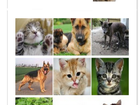 如何通过ChatGPT验证码识别功能解决验证问题——详解ChatGPT验证码识别