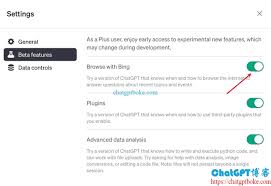 Bing ChatGPT 中文版