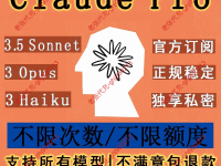 Claude API Key申请指南2024:额度说明+支付方案+使用优化