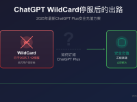 ChatGPT WildCard停服后怎么办?2025年最新安全充值方案