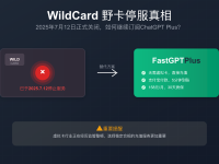 WildCard 野卡停服真相:2025年最佳替代方案完全指南