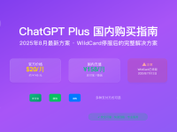 ChatGPT Plus国内购买指南2025 - 4种充值方案详细对比