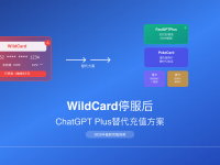 WildCard停服后最佳替代方案2025 - 6种支付方式对比