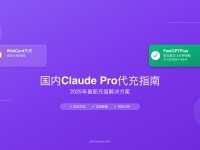国内Claude Pro代充教程2025 - 5种安全充值方案对比