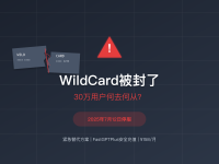 WildCard被封了!30万用户何去何从?2025年紧急替代方案