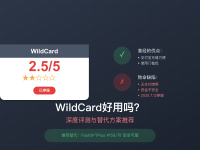 WildCard好用吗?2025年深度评测与替代方案