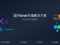国内最靠谱的Grok代充服务对比2025 - 完整充值指南